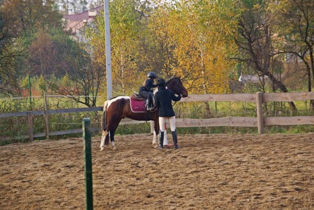 Hubertus 2009